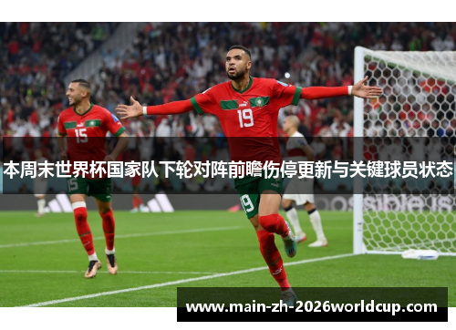 本周末世界杯国家队下轮对阵前瞻伤停更新与关键球员状态